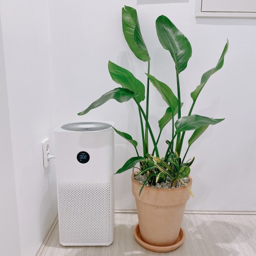 이브필라테스 화곡점, 신규 수강생 모집  이브필라테스 화곡점, 신규 수강생 모집