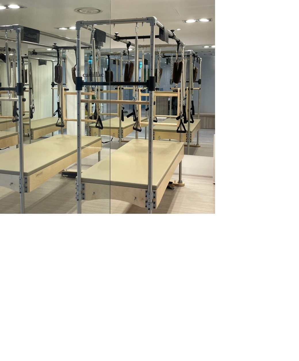 운동과 학습의 결합, 신체활동 중심 평생교육의 확대 운동과 학습의 결합, 신체활동 중심 평생교육의 확대